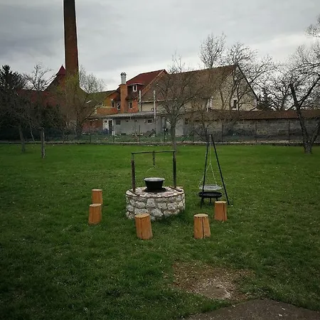 Vindics Vendeghaz *